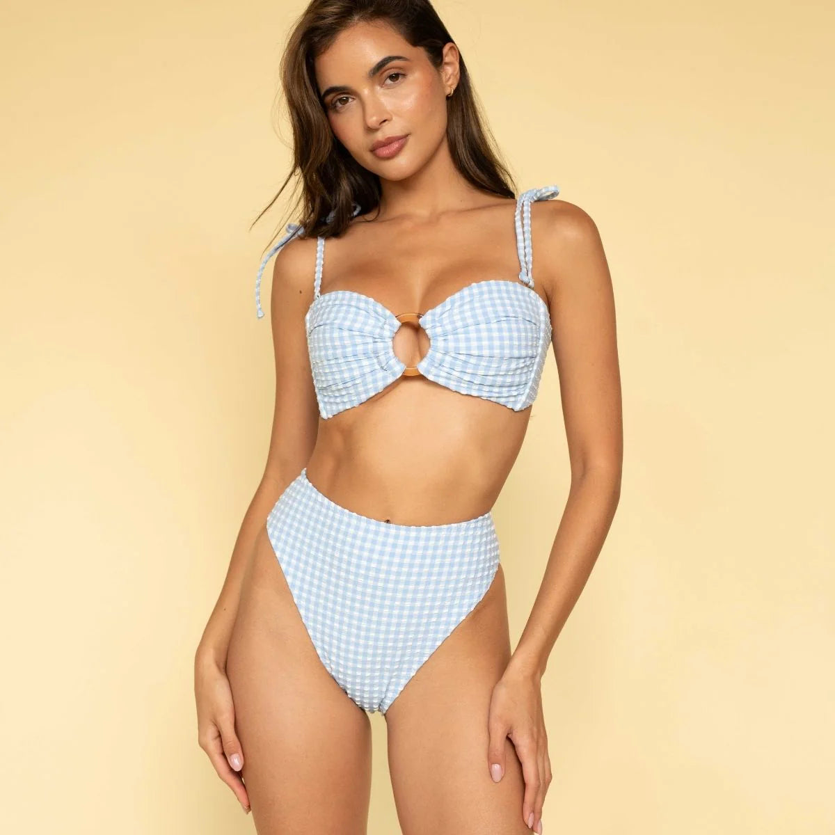 Peri Micro Gingham Paula Bikini Bottom-montce-1000 Palms
