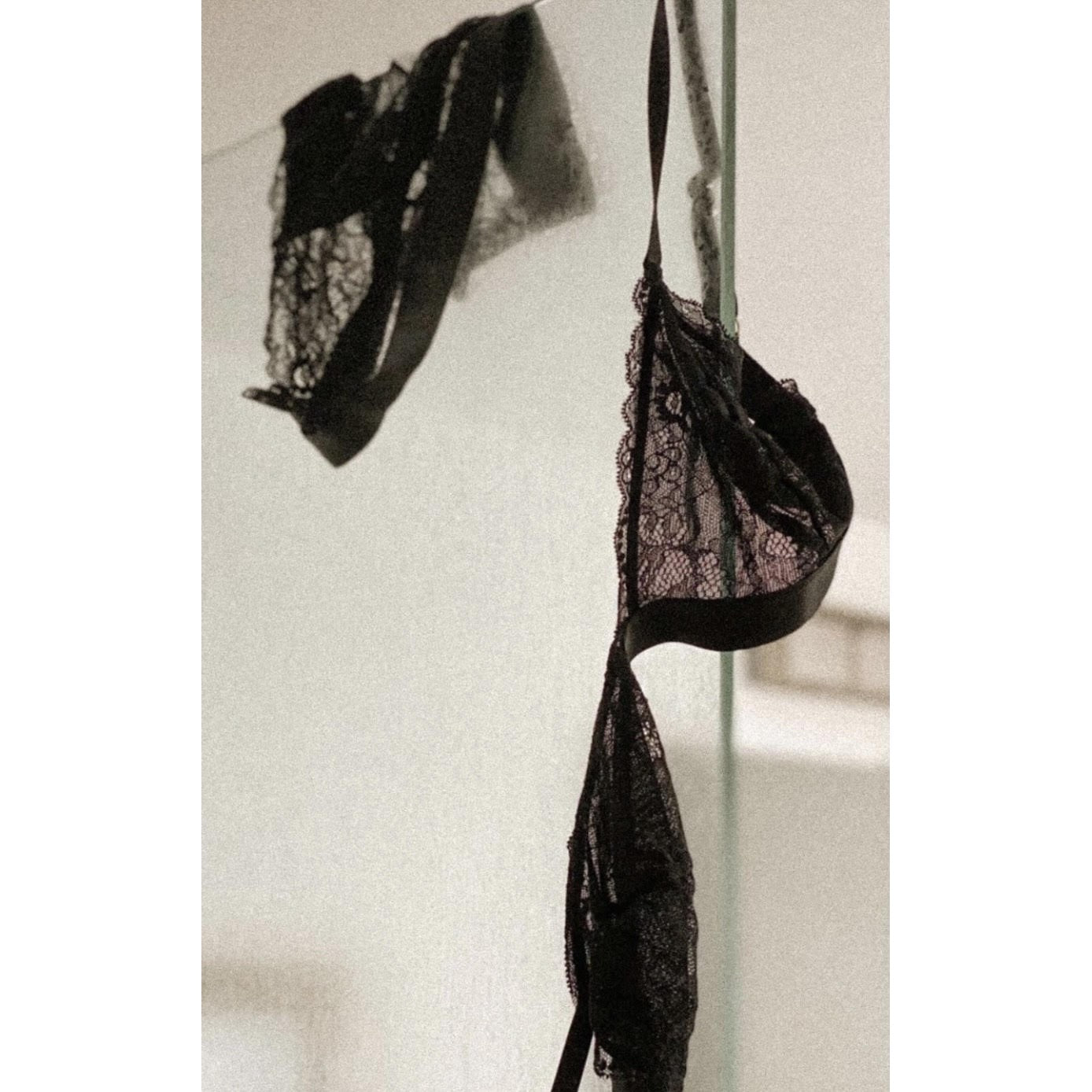 Lace Triangle Bra-Siella-1000 Palms