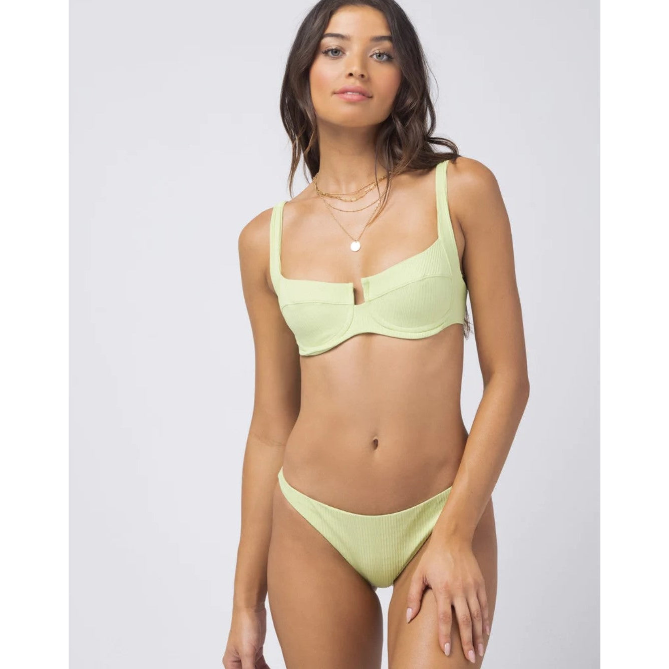 Camellia Top-L*Space-1000 Palms