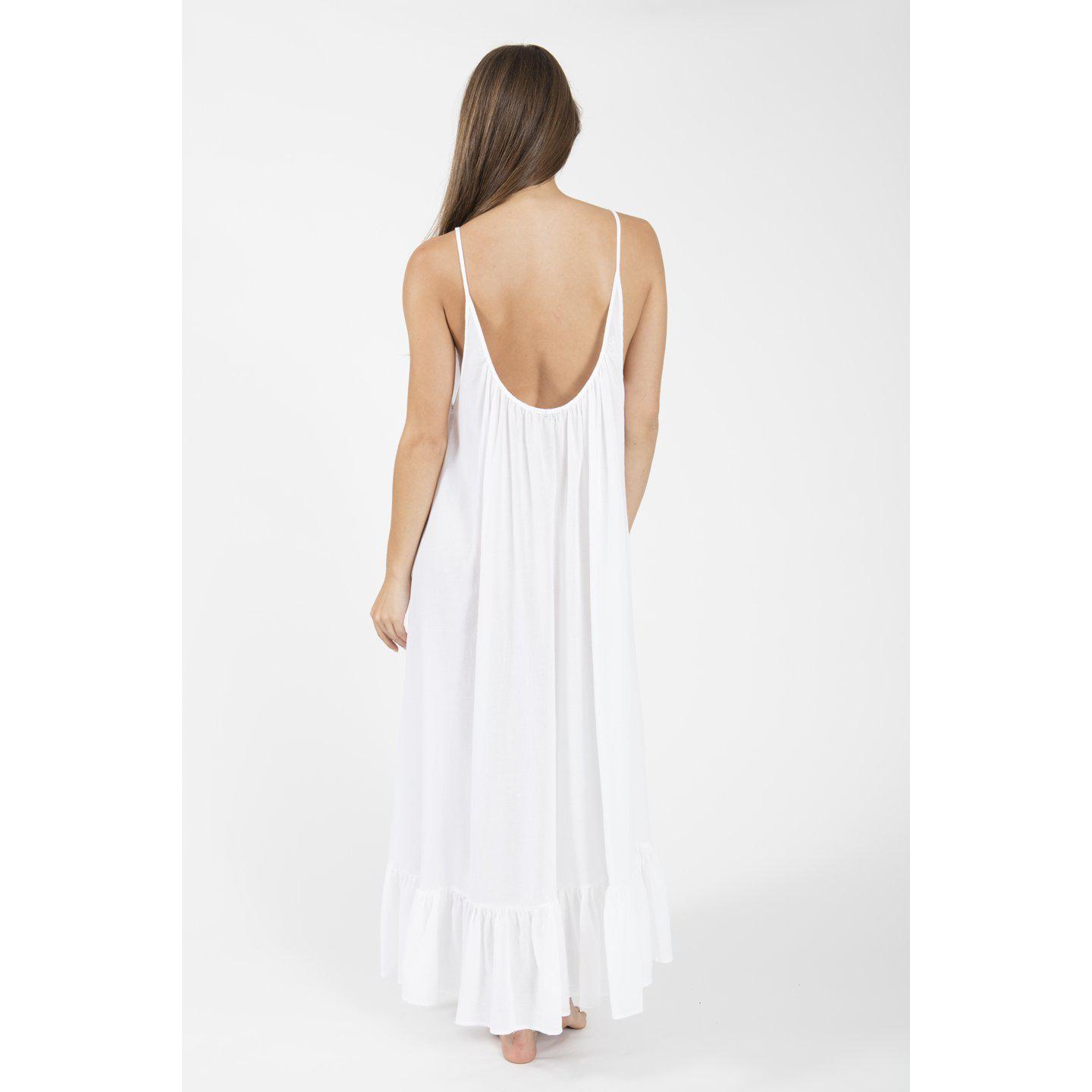 Paloma Maxi-9Seed-1000 Palms