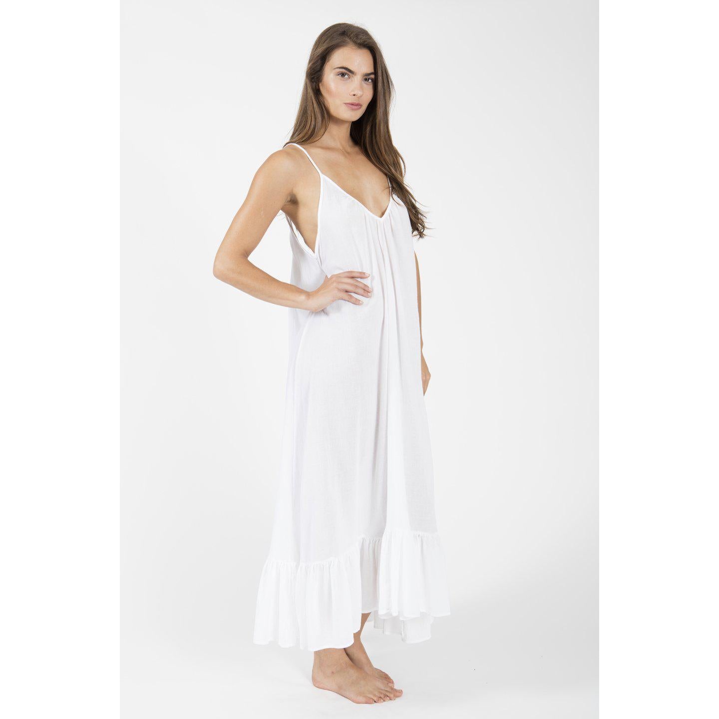 Paloma Maxi-9Seed-1000 Palms