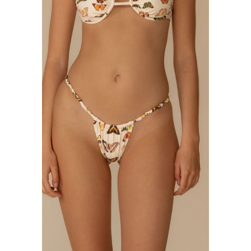 Monarch Brasil Bottom-Montce-1000 Palms